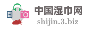 中国湿巾网