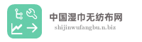 中国湿巾无纺布网