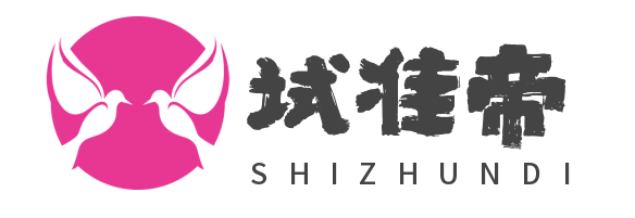 试准帝官网
