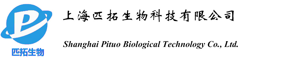 -上海匹拓生物科技有限公司