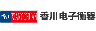 防爆电子地磅秤