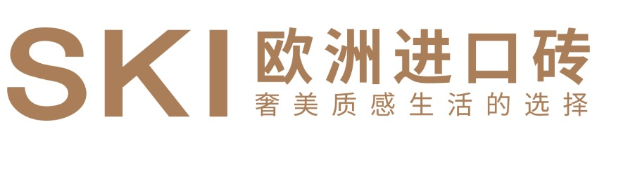 SKI欧洲进口砖