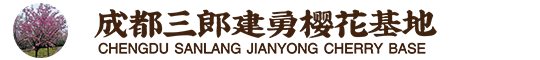 四川樱花基地