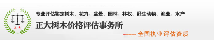 树木评估