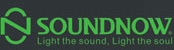 SOUNDNOW（声诺）无线麦克风，无线话筒，专业会议系统