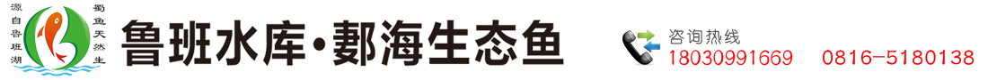 首页