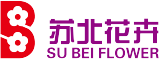 江苏苏北花卉股份有限公司、苏北花卉官网、江苏苏北花卉热线：400