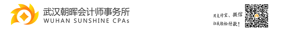 武汉会计师事务所