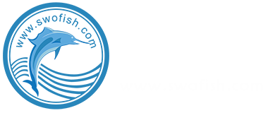 首页