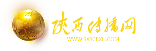 陕西传播网