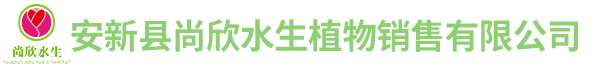 安新县尚欣水生植物销售有限公司