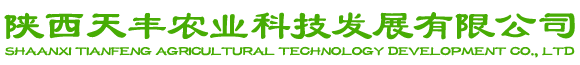 首页