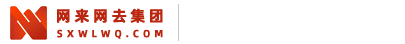 陕西网来网去网络科技集团有限公司