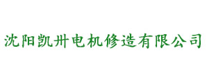 进口电机维修