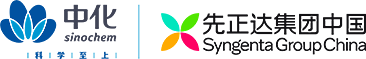 首页