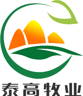 猪饲料