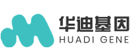 华迪基因