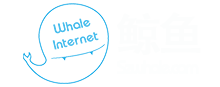 专业网络开发
