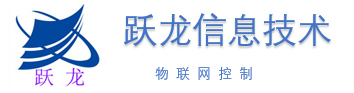 跃龙信息技术