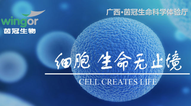 数字展示在线