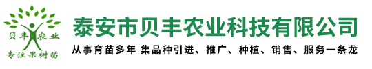 桃树苗