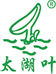 首页