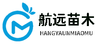 蓝莓苗
