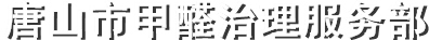 唐山除甲醛公司