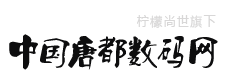 中国唐都数码网