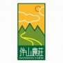 首页