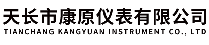 天长市康原仪表有限公司