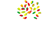 The