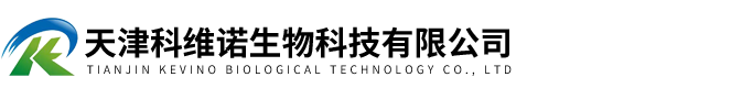 人细胞/人血ELISA试剂盒,人内皮素ELISA试剂盒