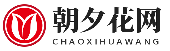 朝夕花网
