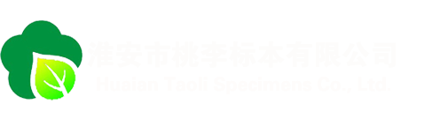 淮安桃李标本有限公司