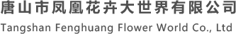 凤凰花卉