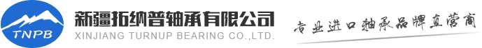 新疆拓纳普轴承有限公司