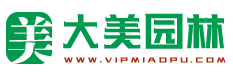 湖南长沙大美园林苗木基地