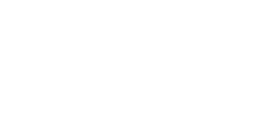 Vision