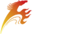 深圳市佳鸿名车投资有限公司