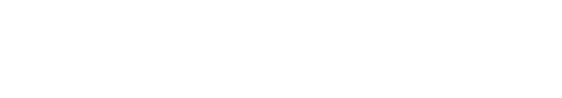 网鲸国际
