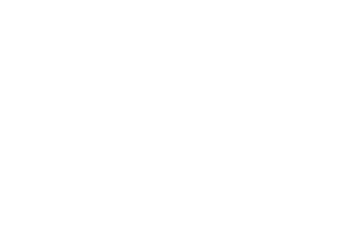 网营牛