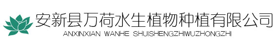 安新县万荷水生植物种植有限公司