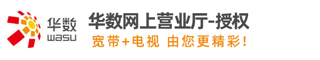 杭州华数在线