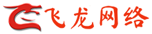 飞龙网络