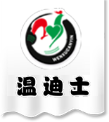 温迪士