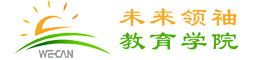 山东未来领袖电子科技有限公司