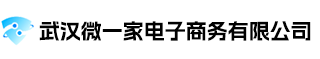 武汉微一家电子商务有限公司