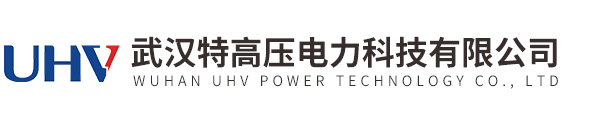 指针式数字双显绝缘电阻测试仪