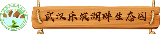 武汉乐农湖畔生态园
